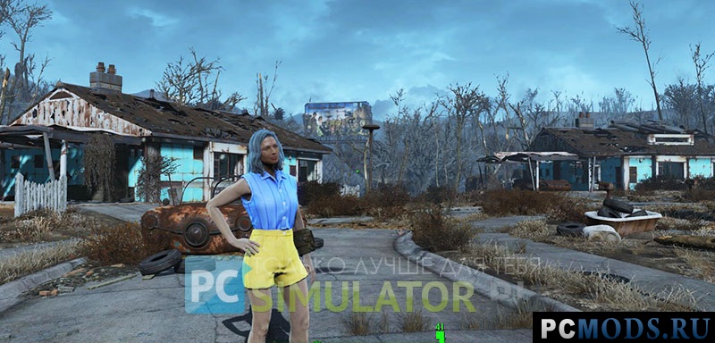       Fallout 4