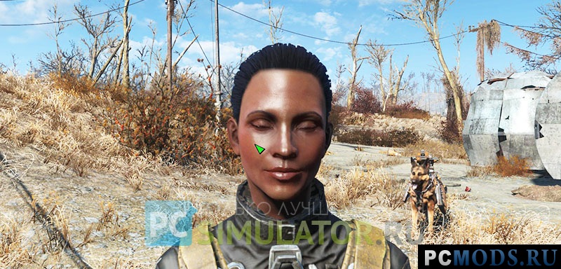      Fallout 4